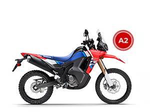 crf-300-300x225